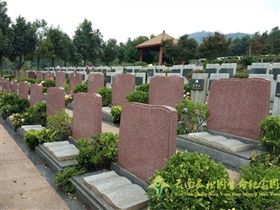 宣威树葬公墓多少钱？